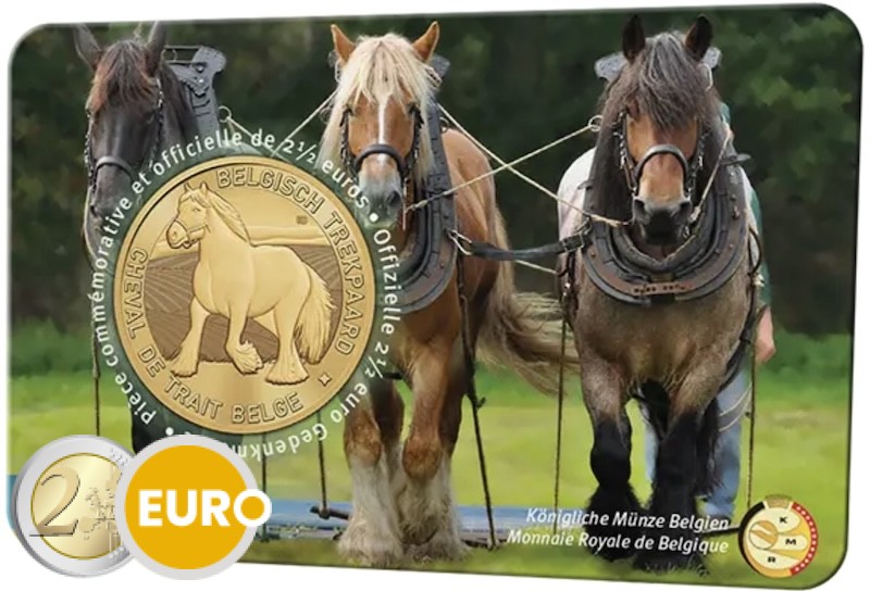 2,50 Euro Belgien 2026 - Brabanter Stgl. Coincard FR